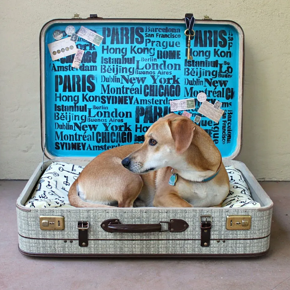 Делаем стильную лежанку из чемодана для собаки