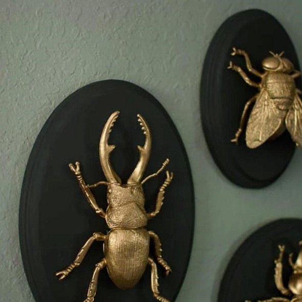 Проект на выходной: настенные 3D-картины насекомых